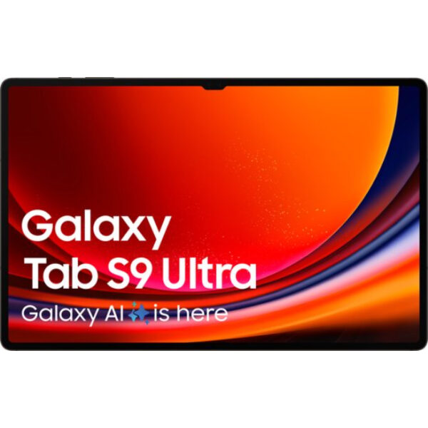 Samsung Galaxy Tab S9 Ultra - WiFi - 256GB - Graphite