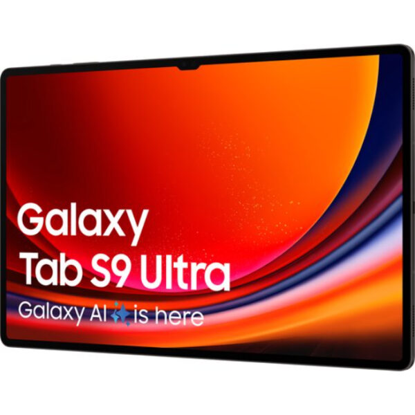 Samsung Galaxy Tab S9 Ultra - WiFi - 256GB - Graphite