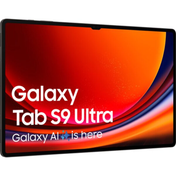 Samsung Galaxy Tab S9 Ultra - WiFi - 256GB - Graphite